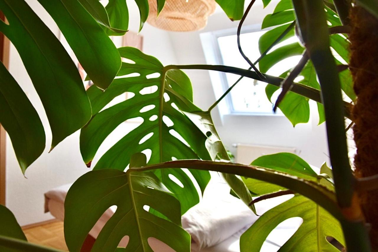 Greenbnbs: Cozy Urban Jungle In The City Centre Есен Екстериор снимка
