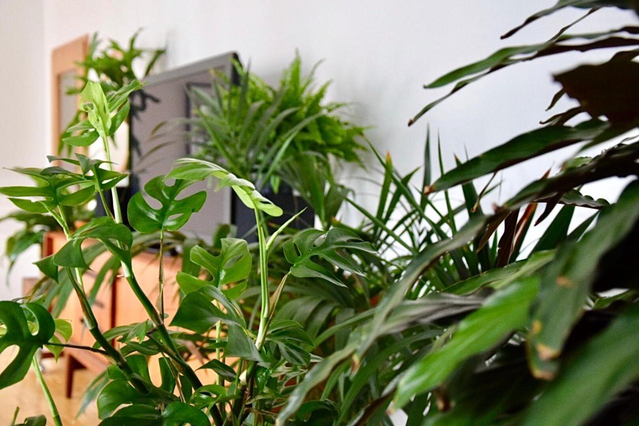 Greenbnbs: Cozy Urban Jungle In The City Centre Есен Екстериор снимка