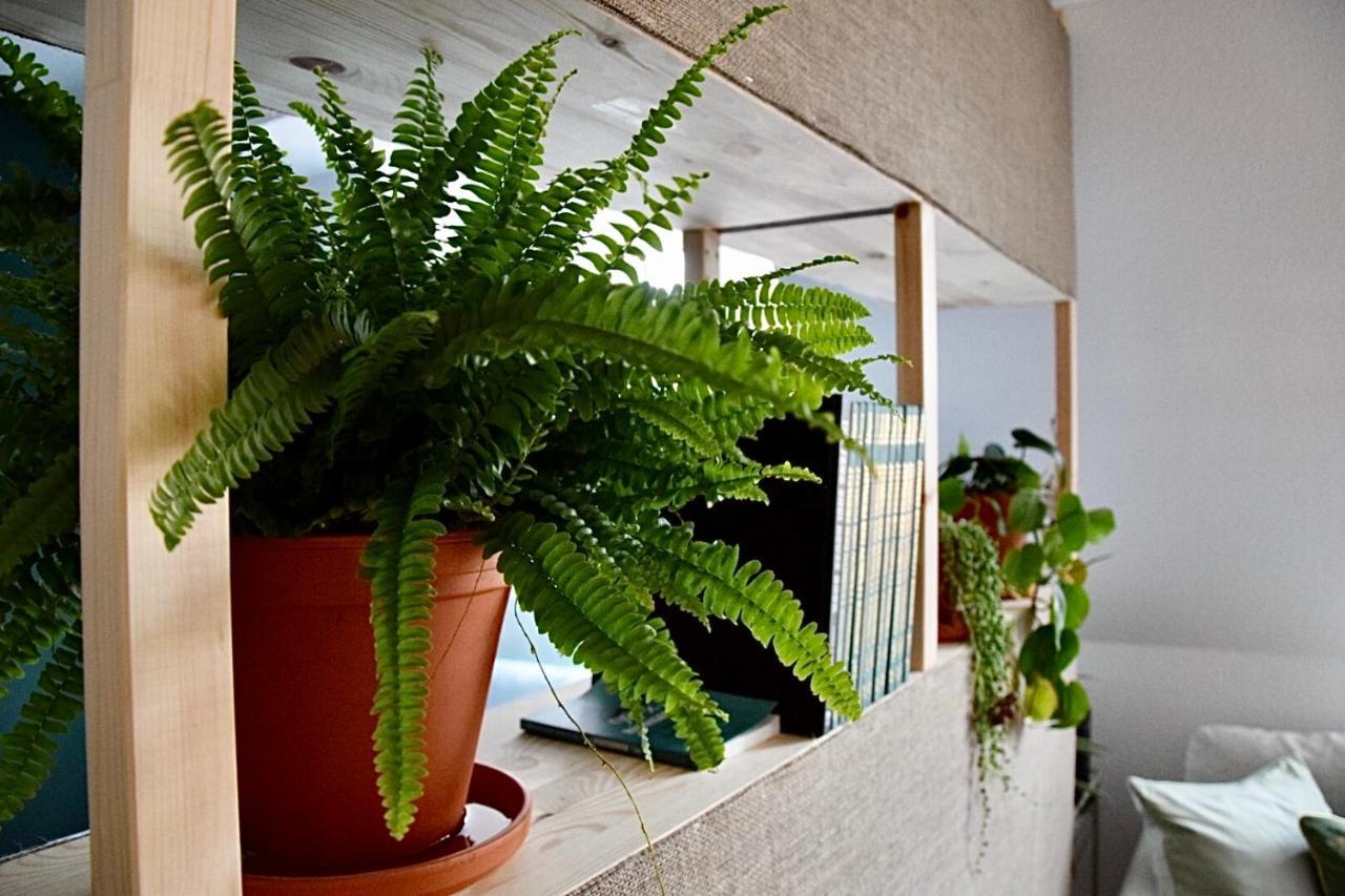 Greenbnbs: Cozy Urban Jungle In The City Centre Есен Екстериор снимка